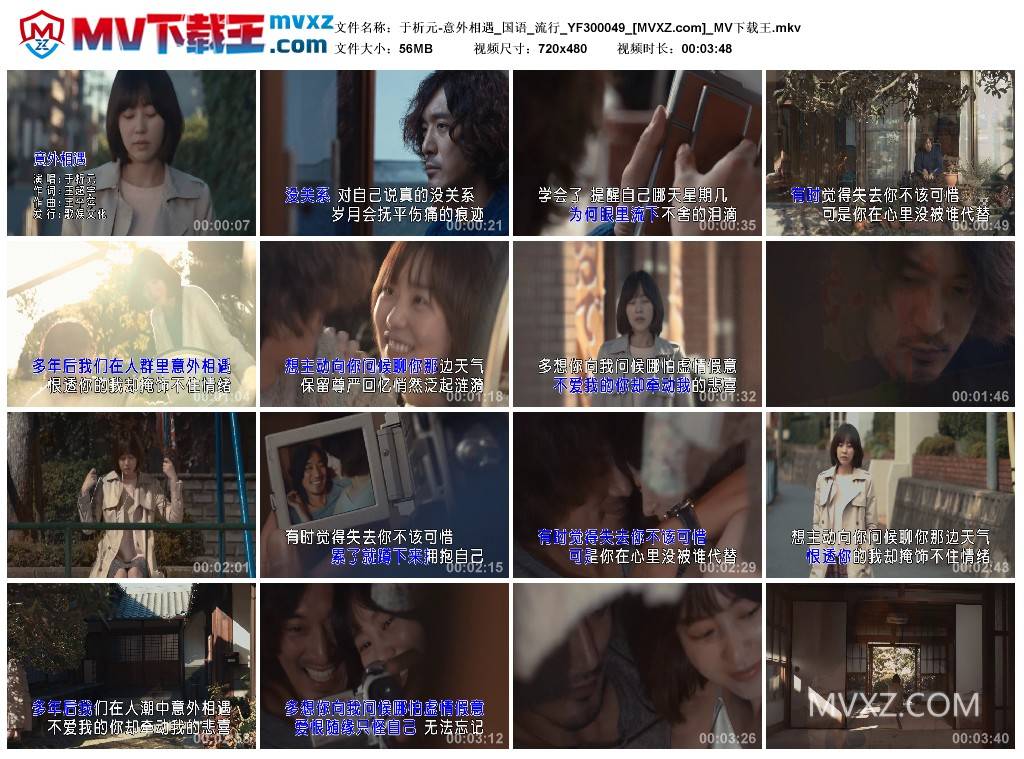 于析元-意外相遇_国语_流行_YF300049